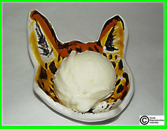 glace au lait anesse